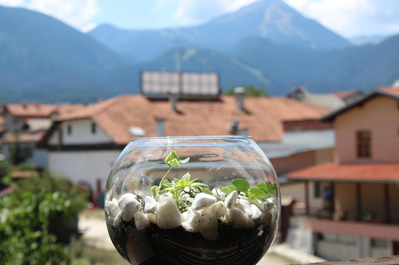 North Star Hotel Bansko Exterior foto