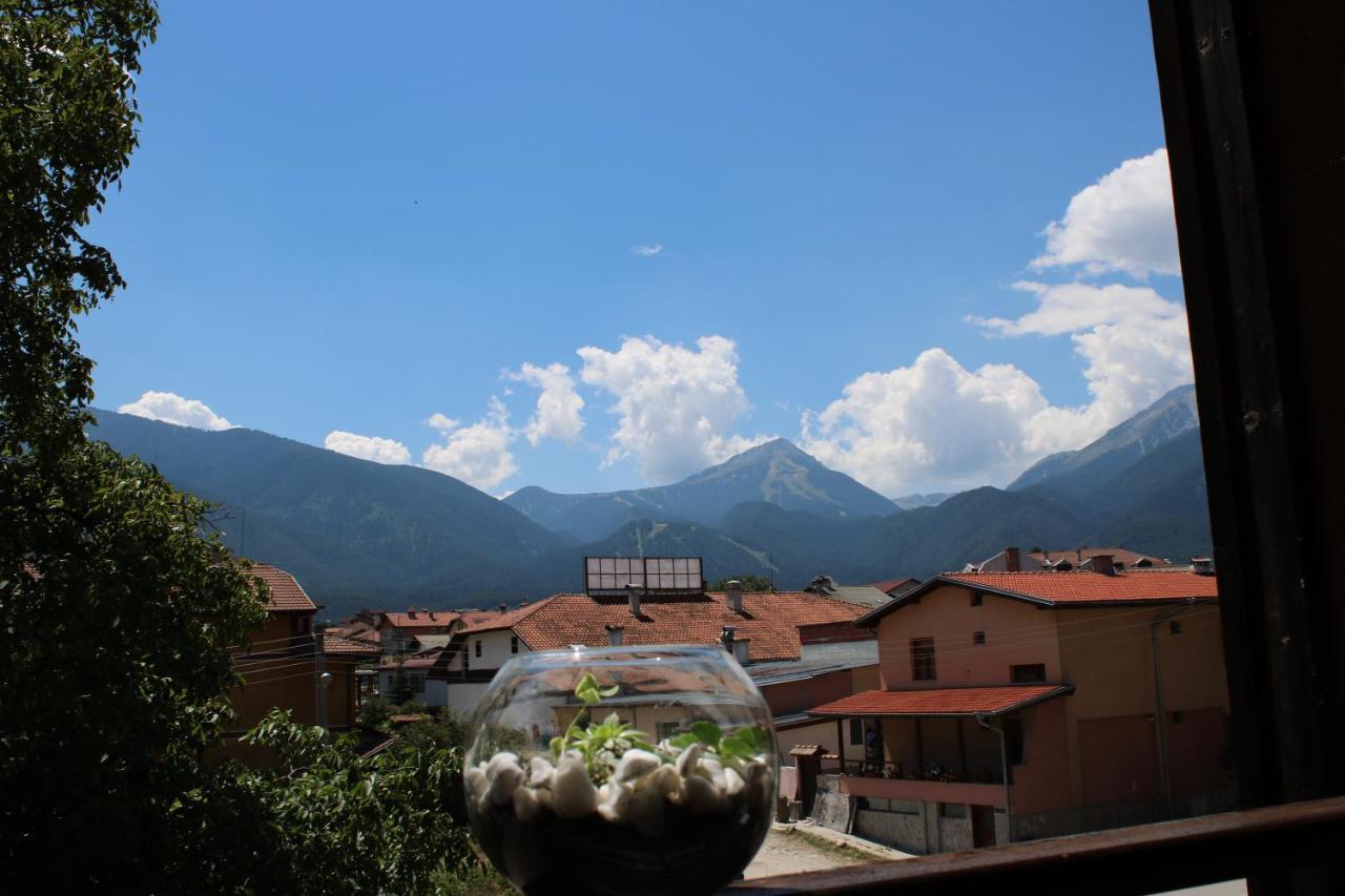 North Star Hotel Bansko Exterior foto